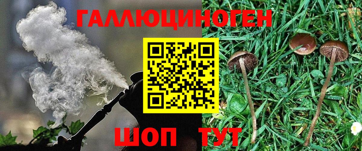 где найти   Вход с VPN  Галлюциногенные грибы MAGIC MUSHROOMS  Усолье-Сибирское  Псилоцибиновые грибы Magic Shrooms 